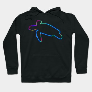 Neon sea turtle Hoodie